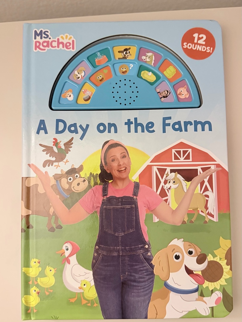 Rachel Farm Sound Book with Blue Panel and Pink Shirt